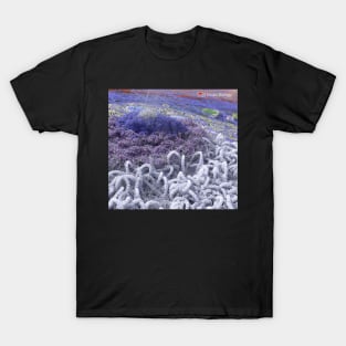 The Nucleolus T-Shirt